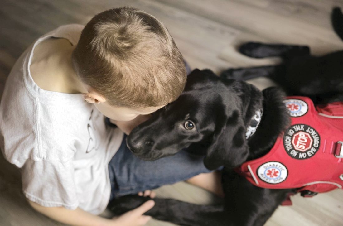 nonprofit diabetic alert dogs